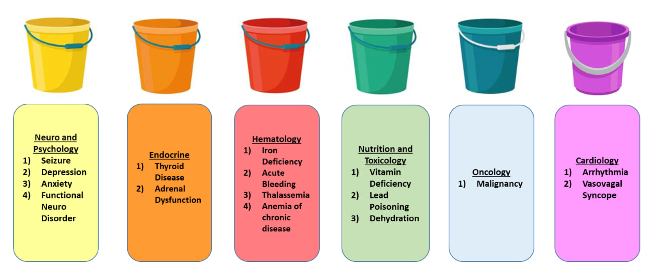Seven colored buckets representing broad differential diagnosis categories for fatigue, dizziness, or anemia-like presentations, including neurologic, endocrine, hematologic, nutritional, oncologic, and cardiac causes.