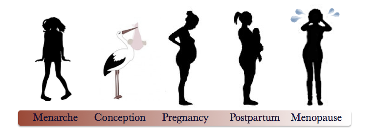 Lifespan Approach: Menarche, Conception, Pregnancy, Postpartum, Menopause