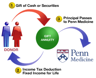 Overview of Charitable Gift Annuity process - details described below.