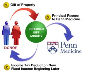 Overview of Deferred Gift Annuity process - details described below.