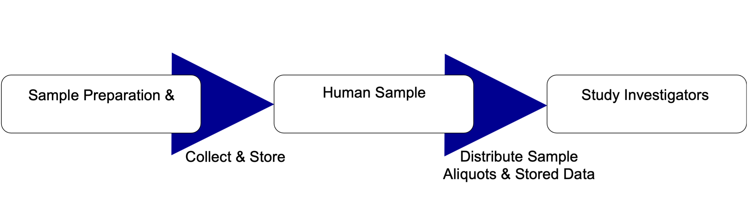 Biobanking Flow Chart