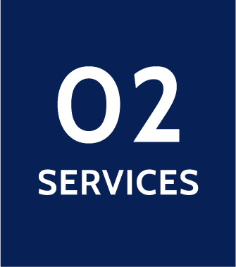 go to Services we offer section