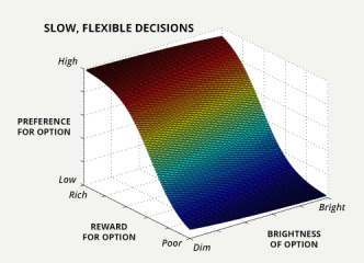 Each time we make a decision, interactions between neurons in different circuits across the brain determine whether we want to choose one option over another. This chart shows one of the decision making options our brain makes.