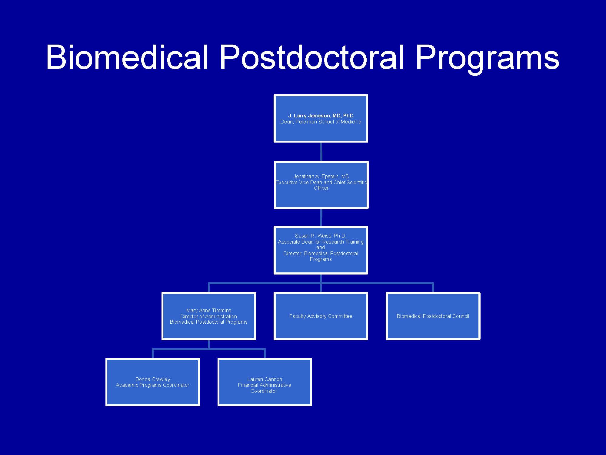 University Of Pennsylvania Organizational Chart