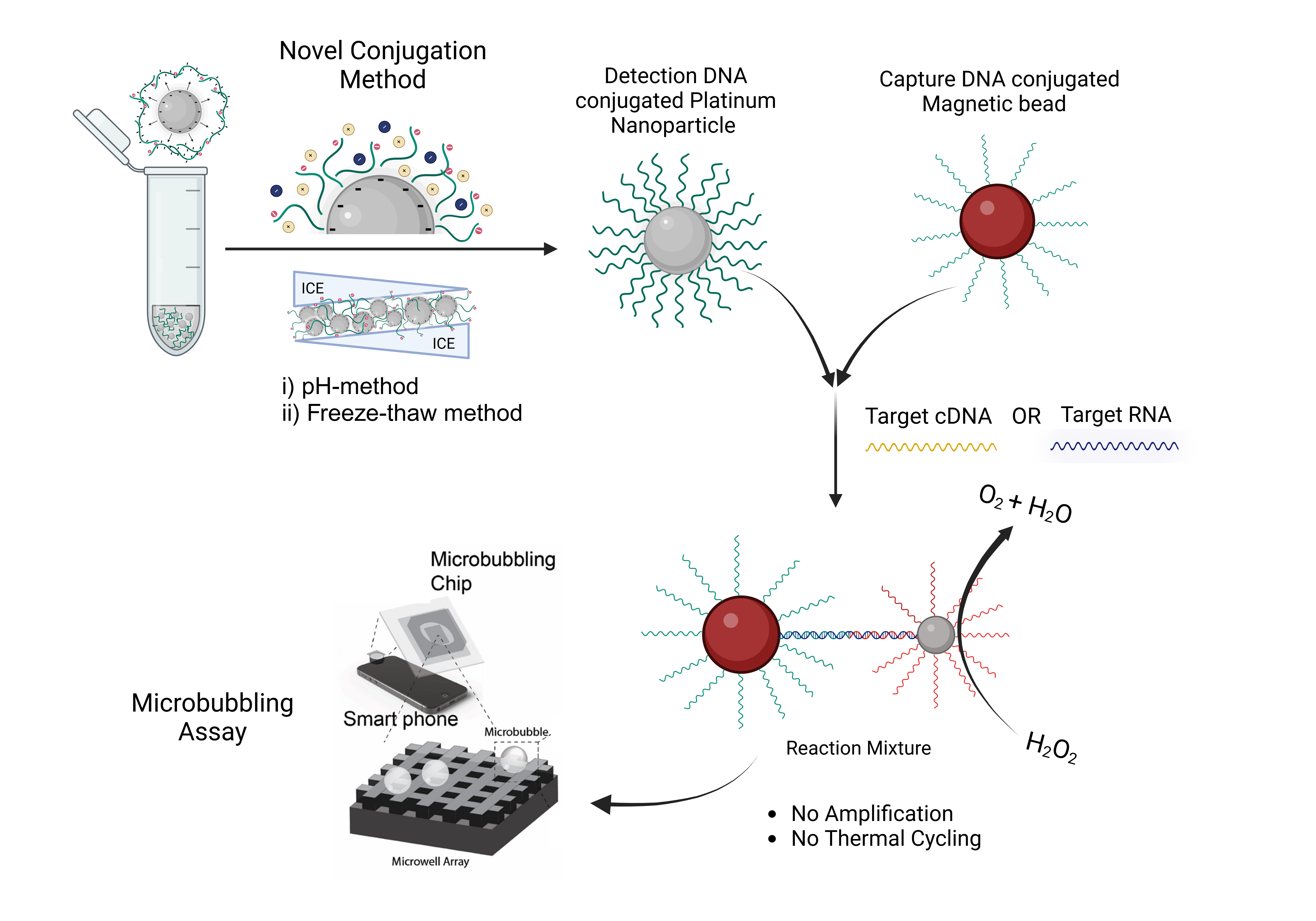 DNA Conjugation to Platinum Nanoparticles