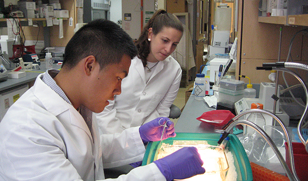 Airways Biology Initiative's summer research students dissecting human lung and trachea.