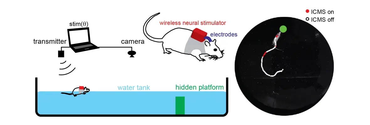 Richardson et al 2019, PNAS