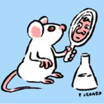 humanized mouse