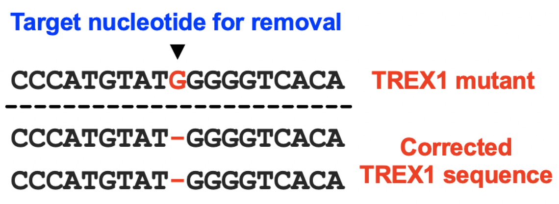 Gene Therapy