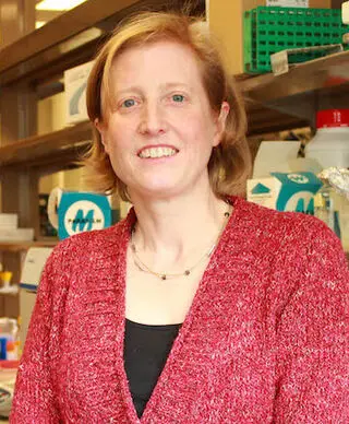 Julie Williams, Ph.D.
