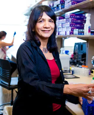 Amita Sehgal, Ph.D.