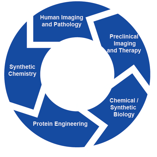 The image shows a schematic representation of the lab's approach to project development. In brief, shortcomings in clinical imaging inspire the development of new imaging probes and technologies. The convergence of synthetic chemistry, protein engineering, and chemical biology then facilitates the development of these new probes and technologies, which are then tested in preclinical disease models.