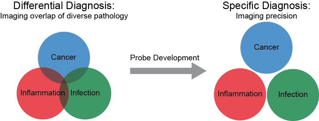 The image shows a triple Venn diagram, with circles representing cancer, inflammation, and infection. The left side of the schematic shows overlap between the three circles, representing the idea that existing imaging techniques cannot fully distinguish the three types of disease from each other. The middle of the figure shows an arrow representing the development of novel imaging probes. The right side of the image shows the three circles representing cancer, inflammation, and infection with no overlap, illustrating the idea that the development of new imaging probes will allow for the full differentiation of cancer, inflammation, and infection in clinical imaging.