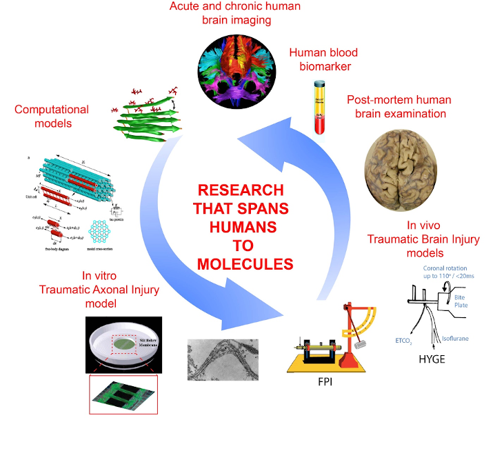 Humans to Molecules