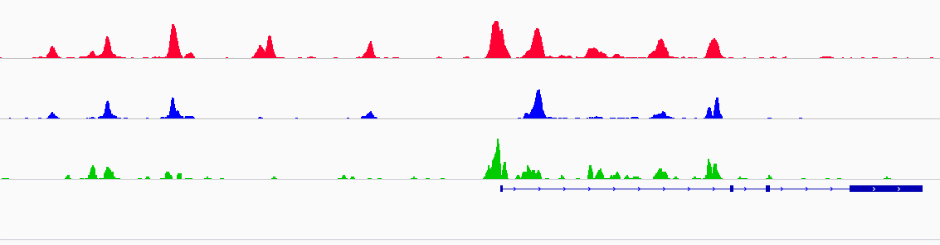 Genome browser image of PPARalpha ChIP-seq.