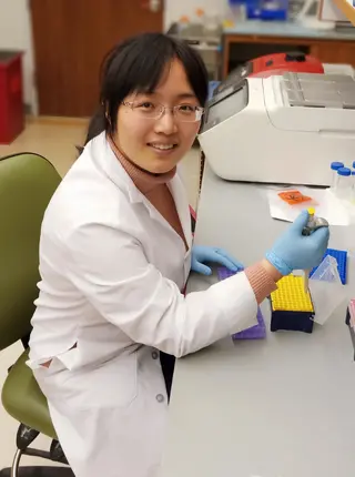 Qin Wang, Ph.D.