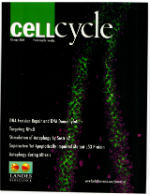 Cell Cycle