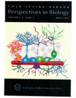 Perspectives in Biology Cover 25