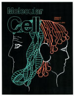 Molecular Cell Cover 24