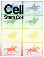 Cell Stem Cell Cover 23