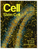 Cell Stem Cell Cover 16