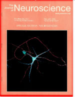 Neuroscience Cover 2
