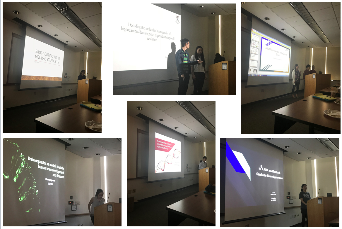 Photo collage of the Summer Research Symposium
