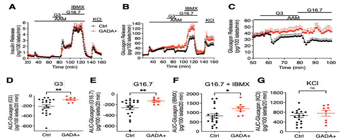 HPAP perfusion data