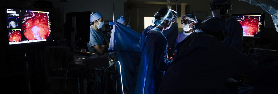 doctors petforming surgery