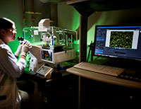 photo of labwork