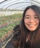 YUTING GUAN PhD