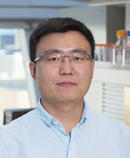 Hongbo Liu, Ph.D.