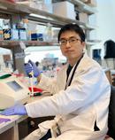 Junnan Wu, M.D./Ph.D.