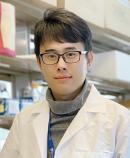 Hailong Hu, Ph.D.