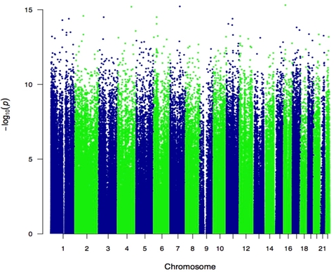 manhattan plot of methylations