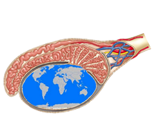 TEsticular CAncer Consortium logo