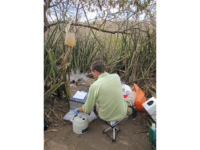 Lab work in the field