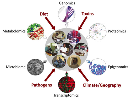 African Integrative Genomics