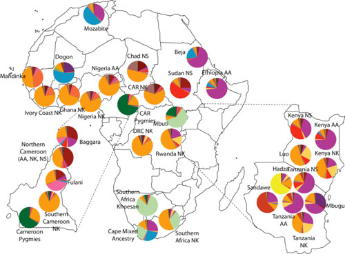 Patterns of Genetic Structure