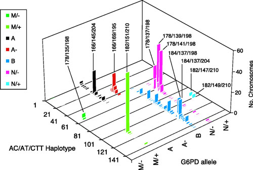 frequencies of haplotypes
