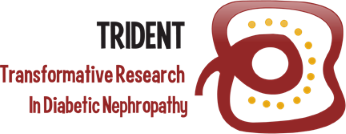 Transformative Research in Diabetic Nephropathy
