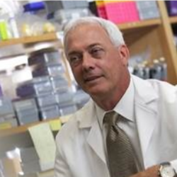 Glen Gaulton, PhD