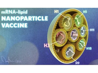 Experimental mRNA Vaccine May Protect Against All 20 Influenza Virus Subtypes