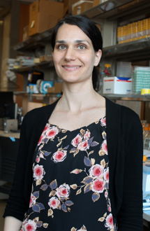 Lisa Bottalico, Ph.D.