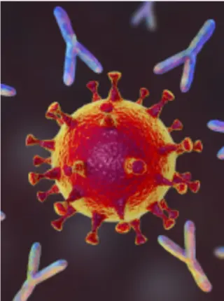 How Long Does COVID-19 Immunity Last Anyway?