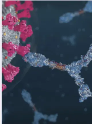 New Studies Find Evidence of ‘Superhuman’ Immunity to COVID-19 in Some People