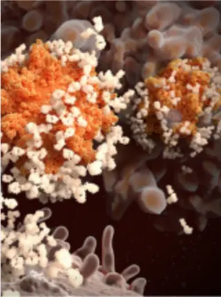 COVID-19 Super-Immunity: One of the Pandemic’s Great Puzzles