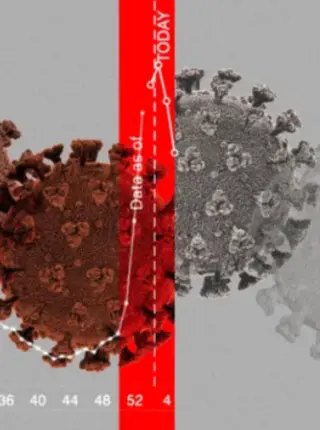 What Happens After Omicron? Four Key Questions About Where the Pandemic Goes Next