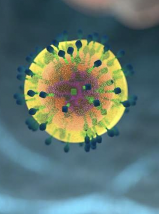 Study details robust T-cell response to mRNA COVID-19 vaccines, a more durable source of protection