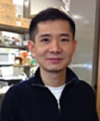 Yi Fan, MD, PhD
